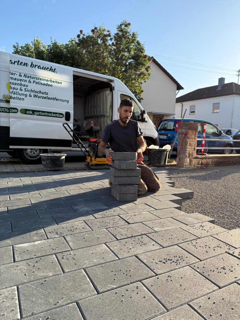 WhatsApp Image 2025-12-18 at 12.39.56